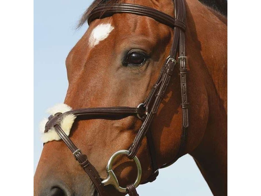 Collegiate Syntovia+ Padded Raised Figure 8 Bridle