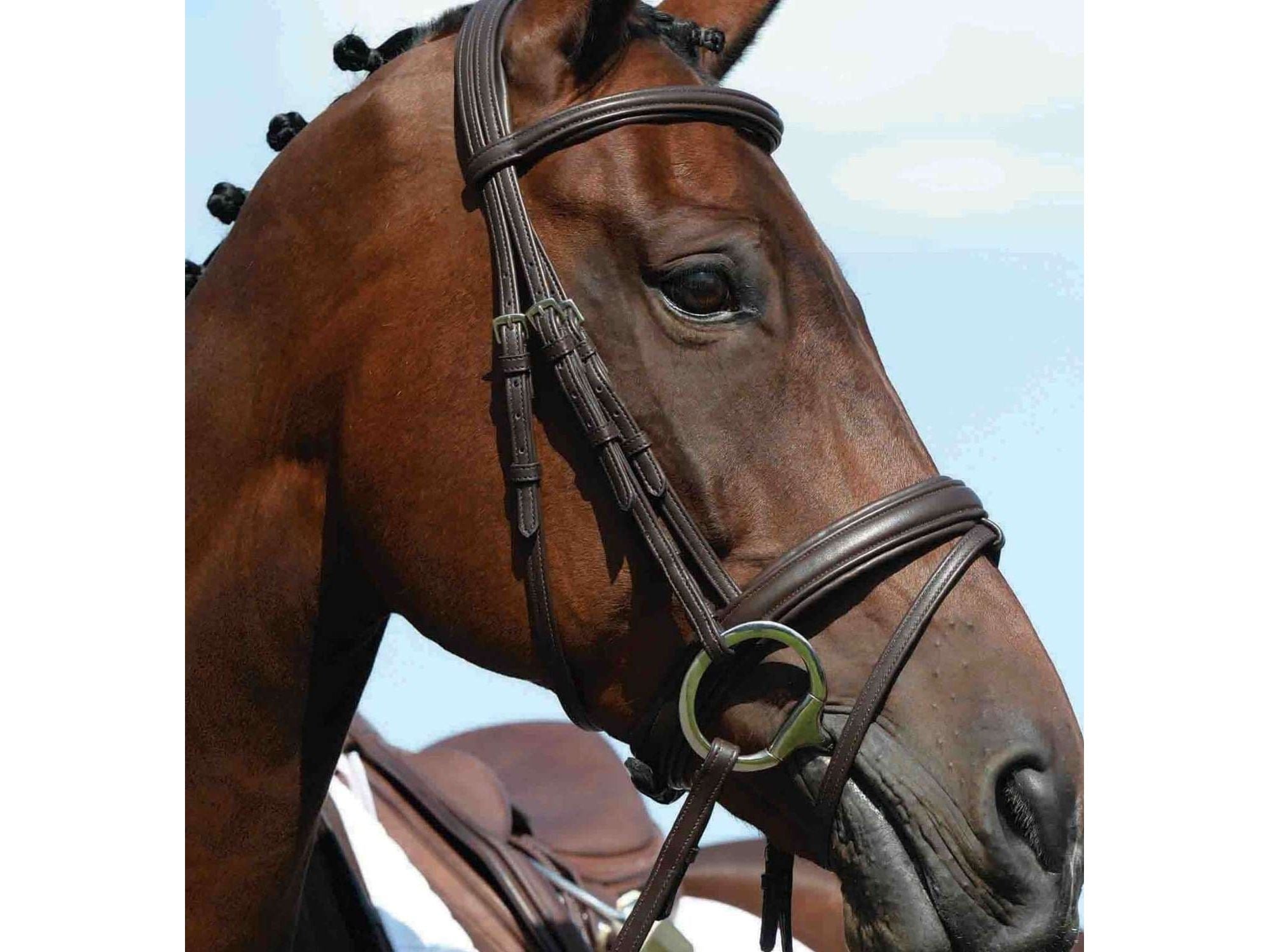 Collegiate Syntovia+ Padded Raised Flash Bridle