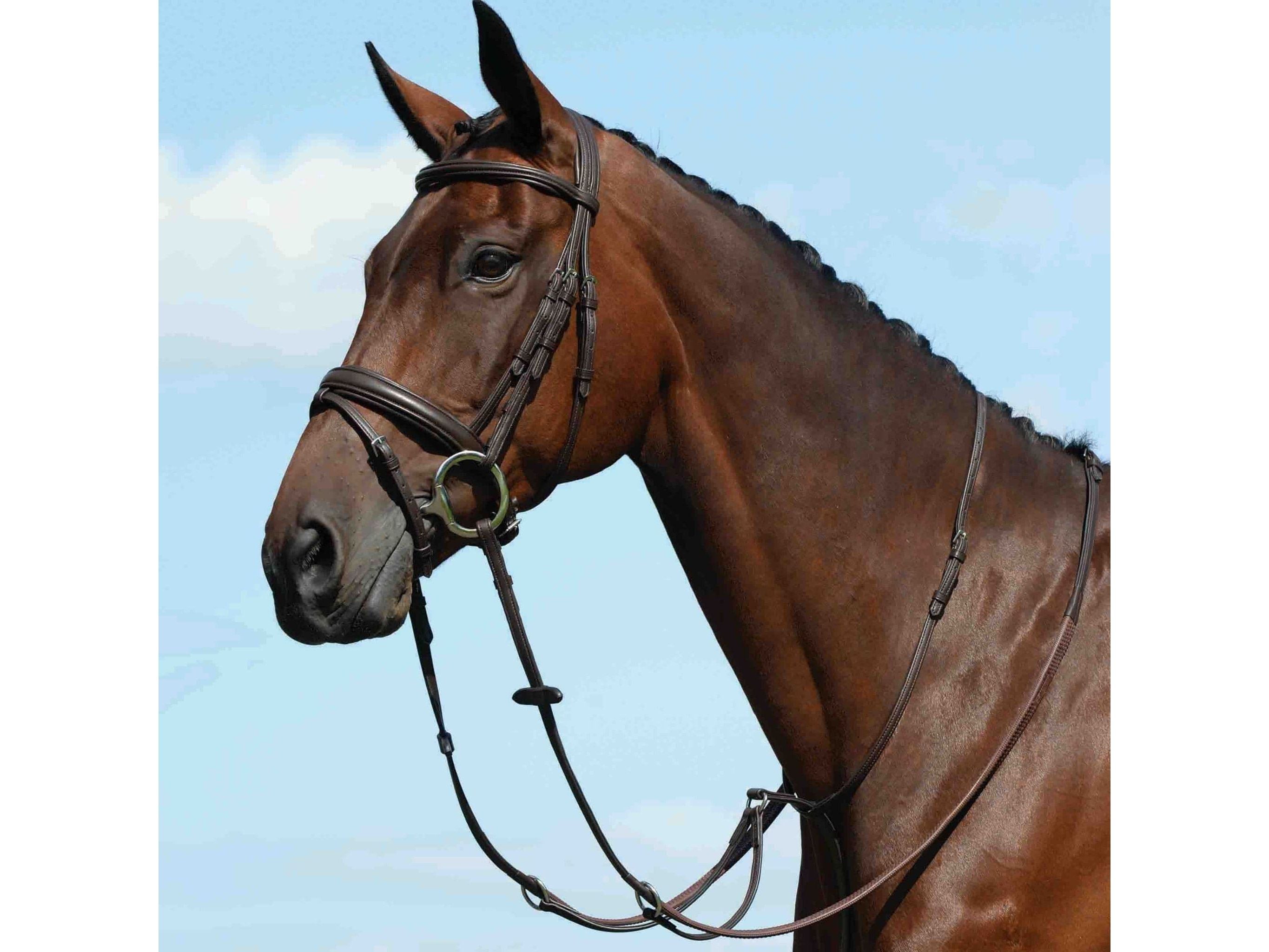 Collegiate Syntovia+ Plain Flat Running Martingale