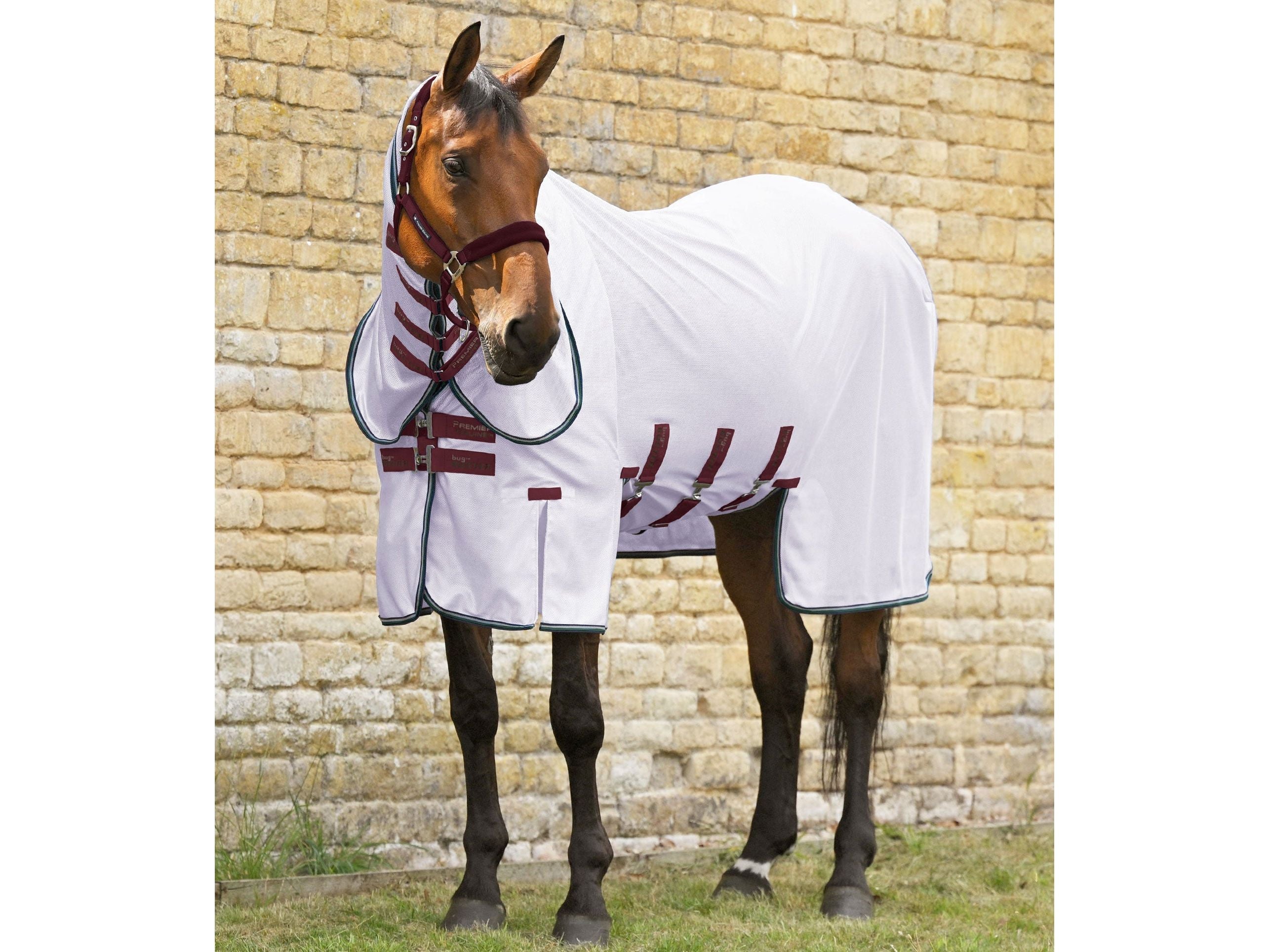 Combo Bug Buster Fly Rug with Belly Flap
