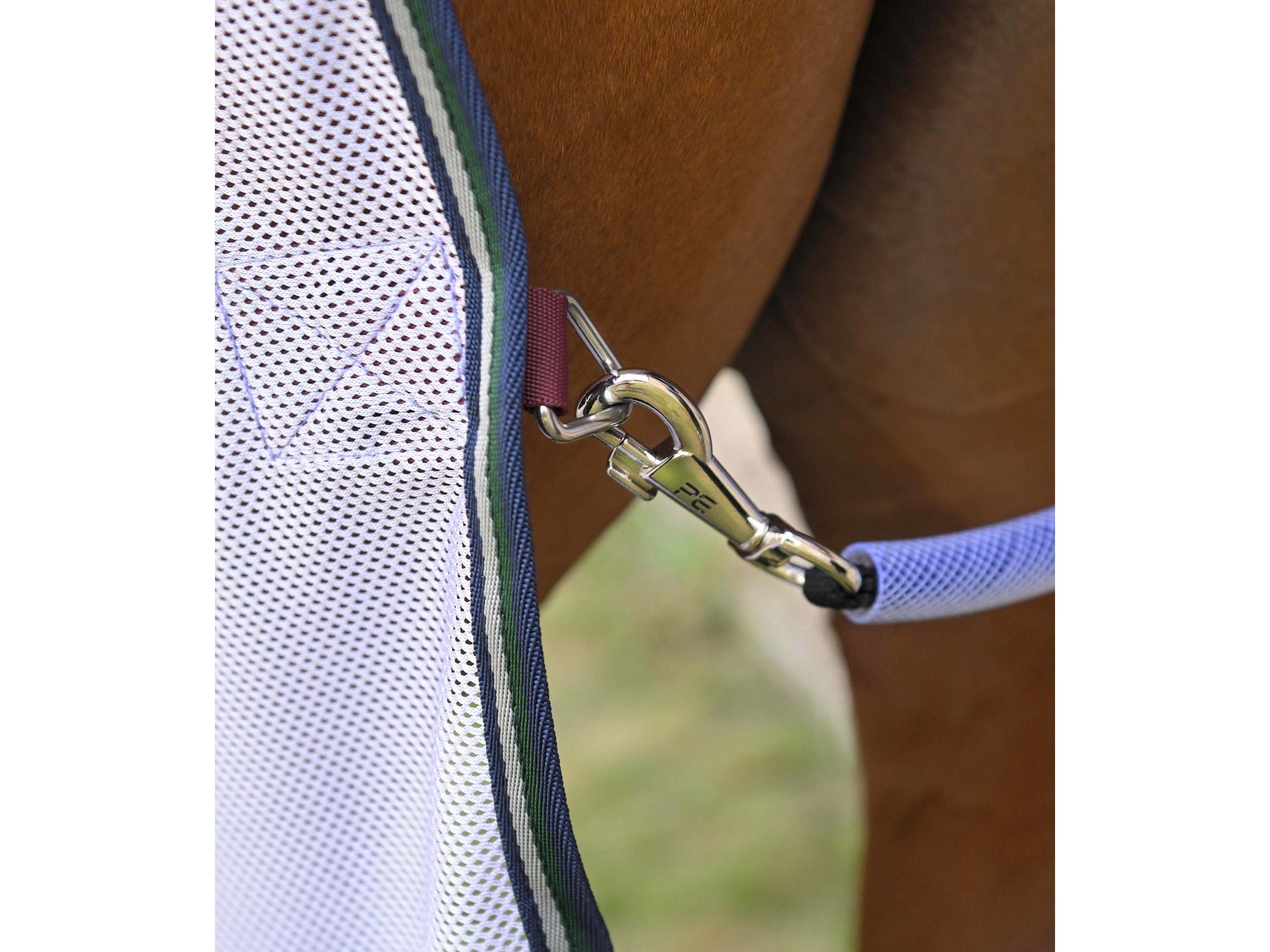 Combo Bug Buster Fly Rug with Belly Flap