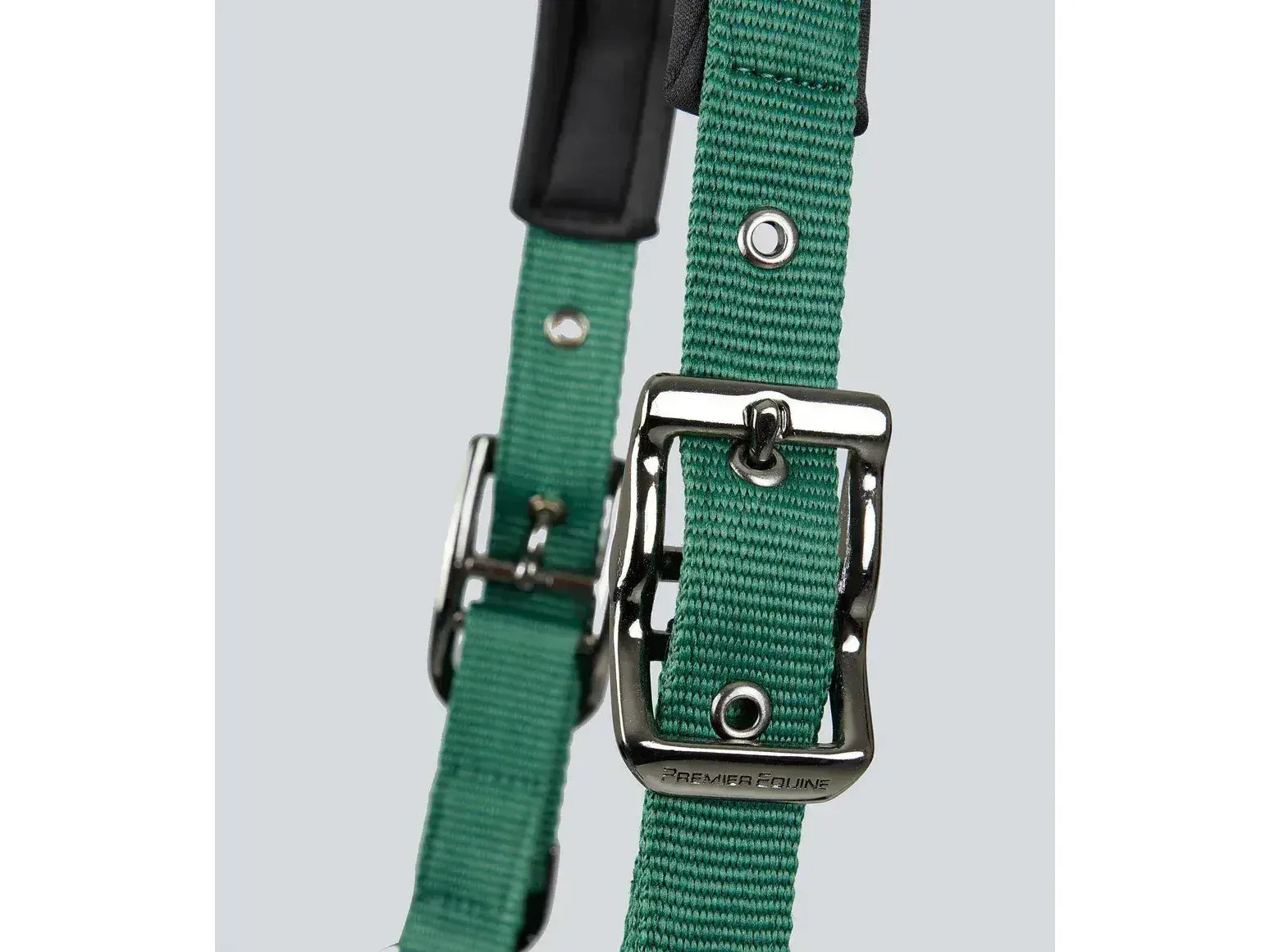 Corda Padded Head Collar with Lead Rope