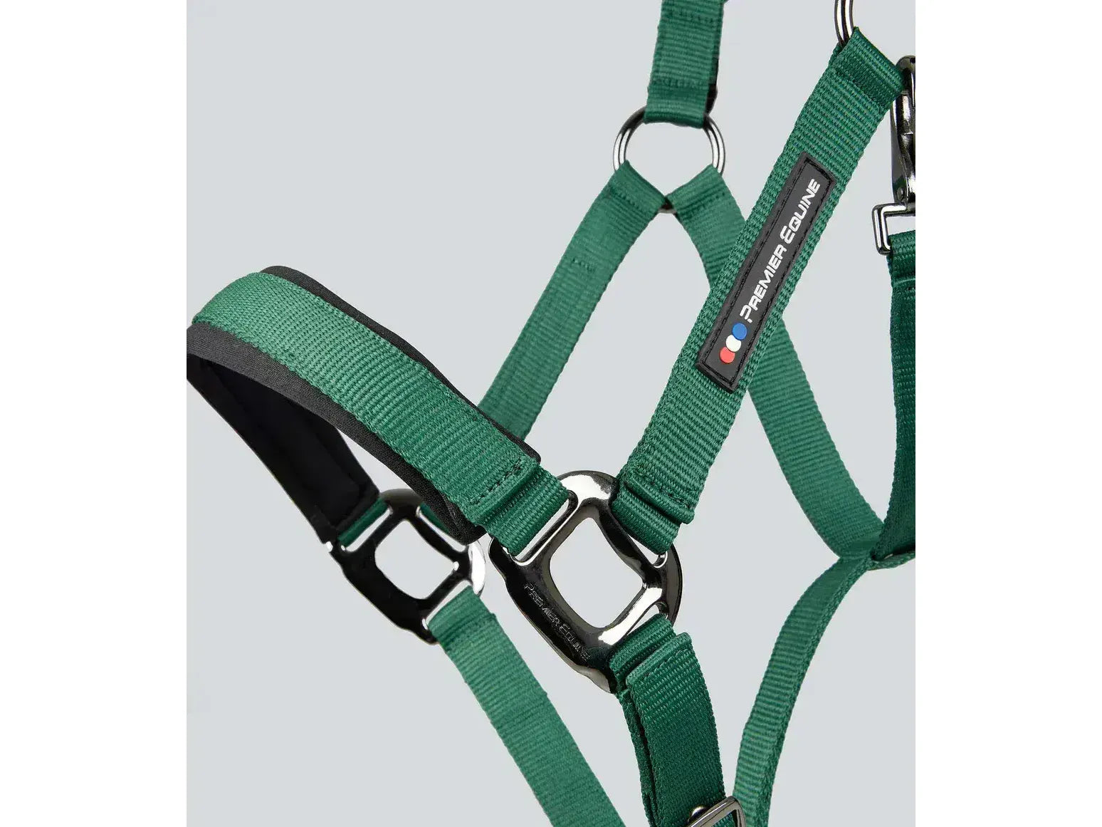Corda Padded Head Collar with Lead Rope
