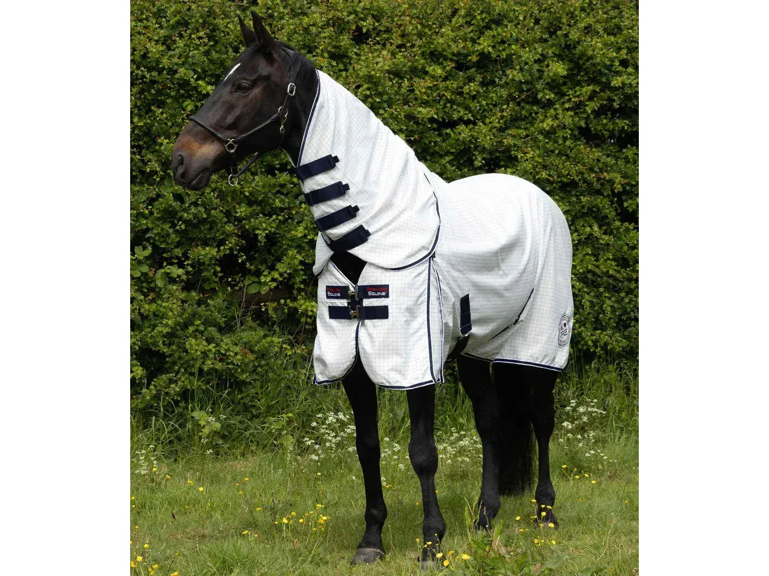 Cotone Combo Stable Sheet