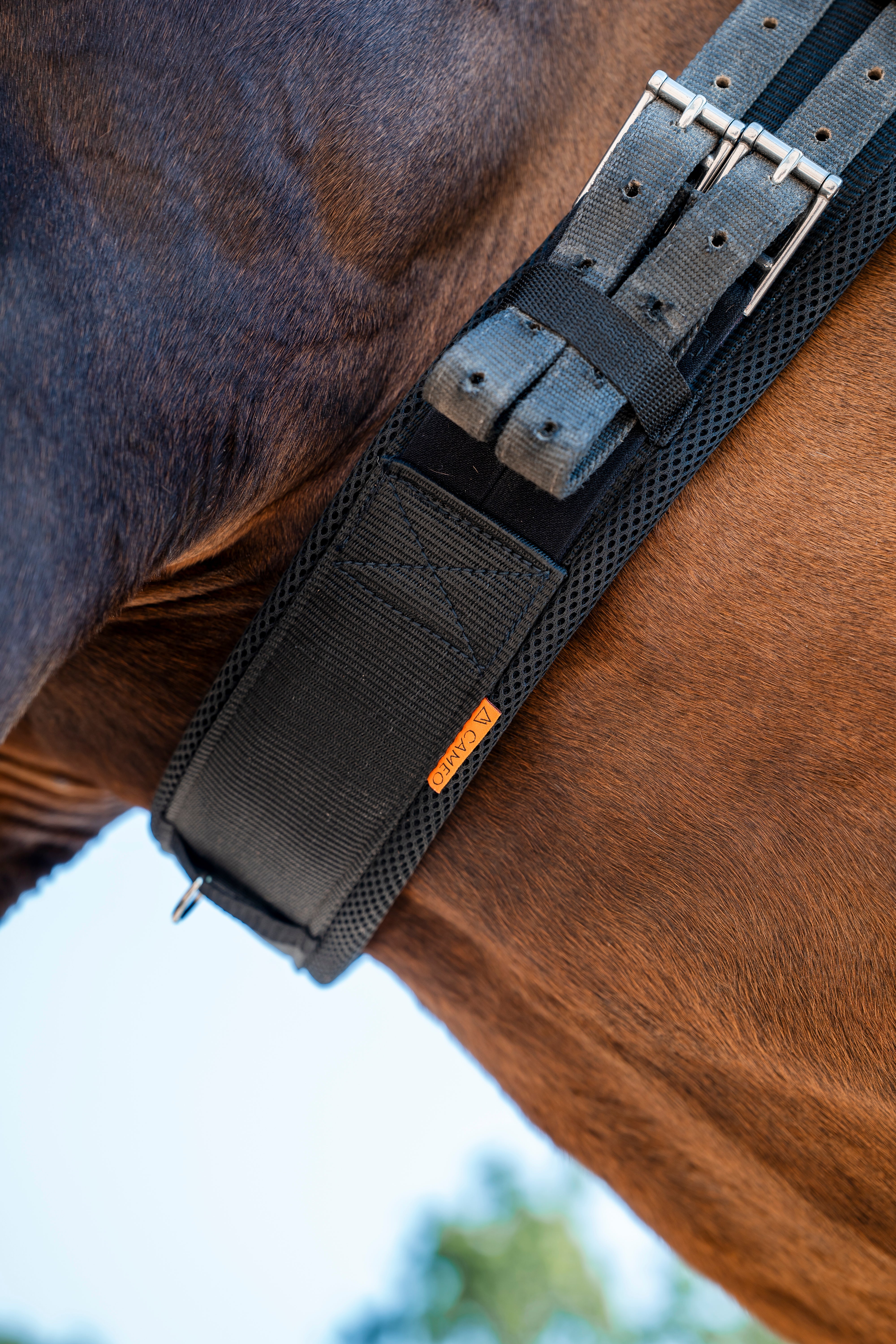 Ventus Air Girth No elastic