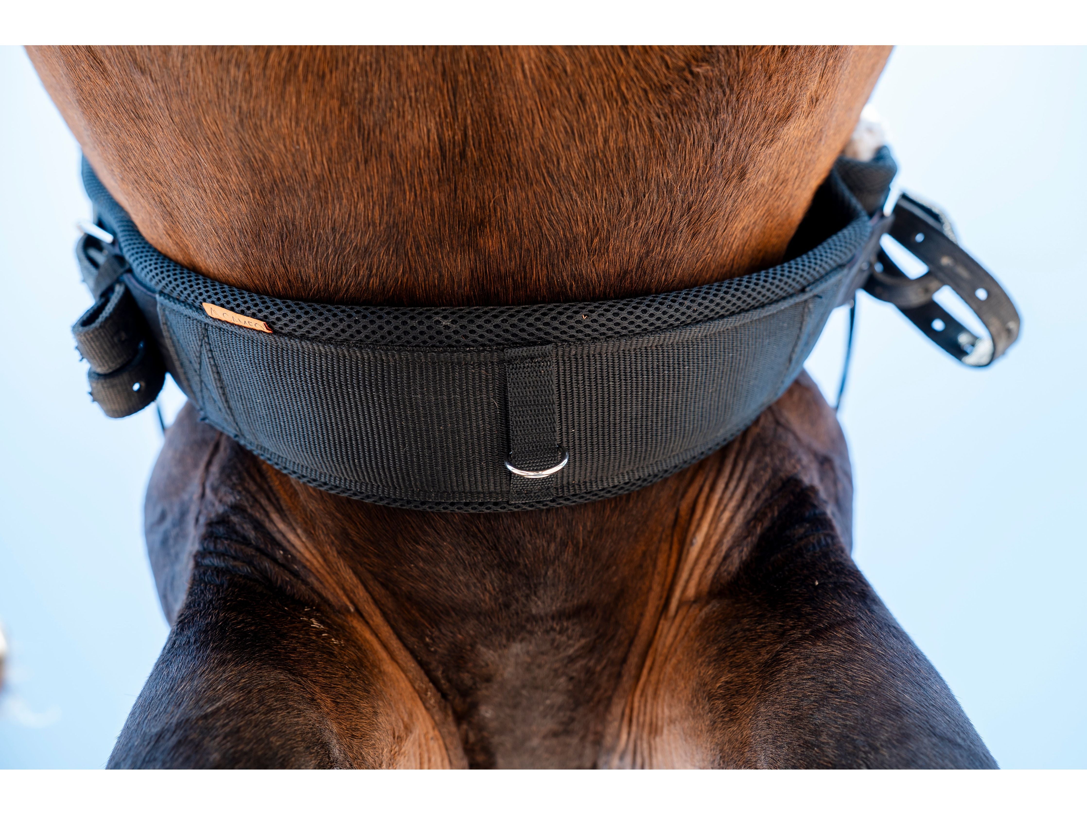 Ventus Air Girth No elastic detail view