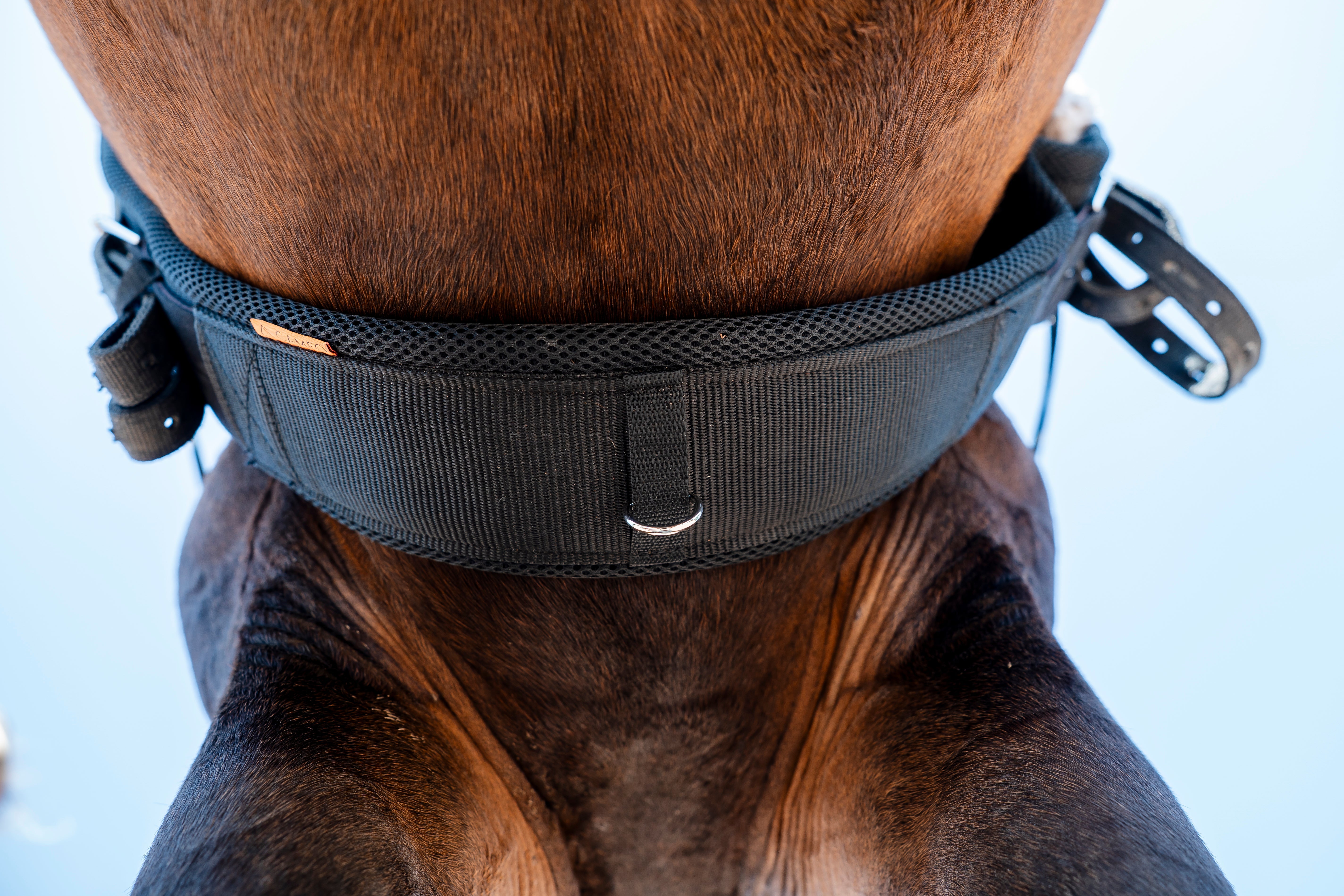 Ventus Air Girth No elastic