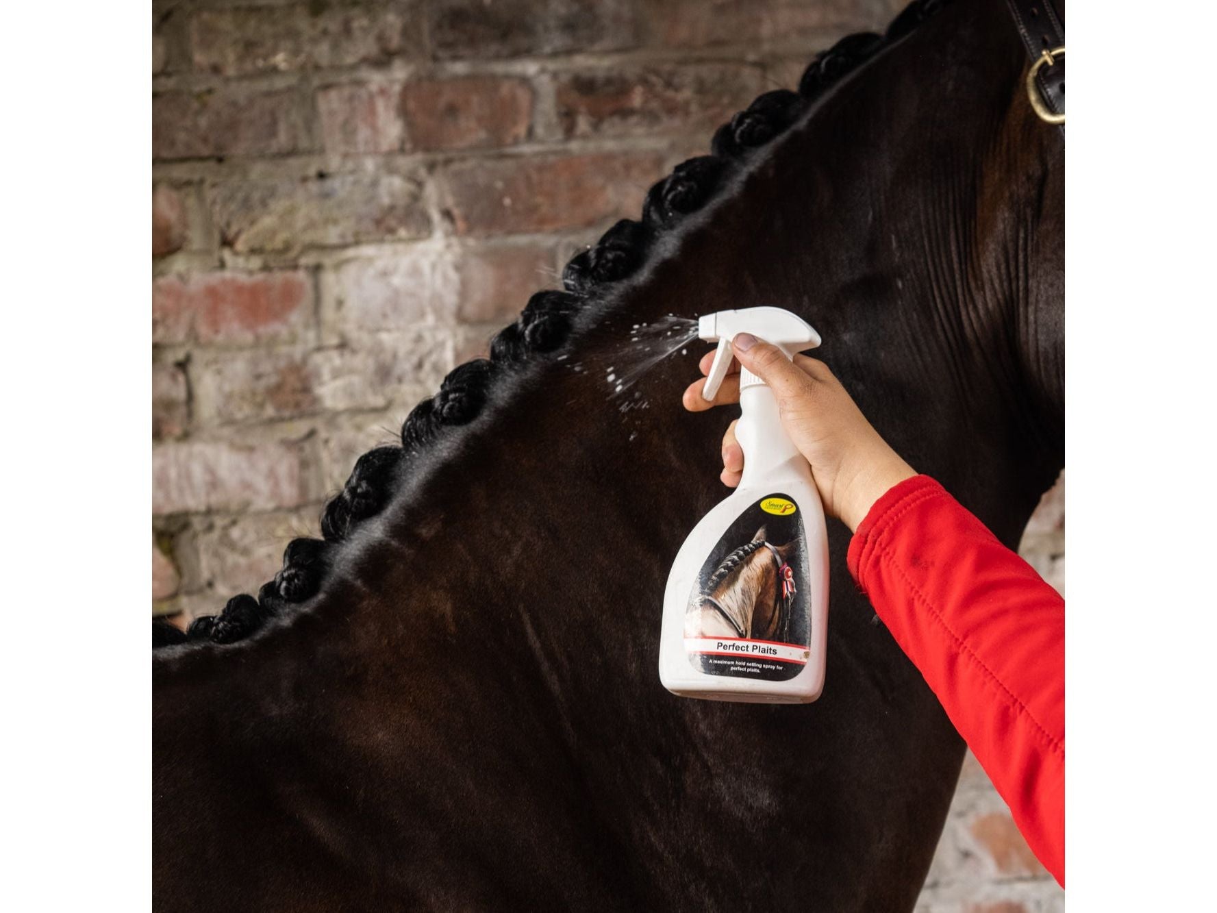 perfect plaits - equestrian equipment
