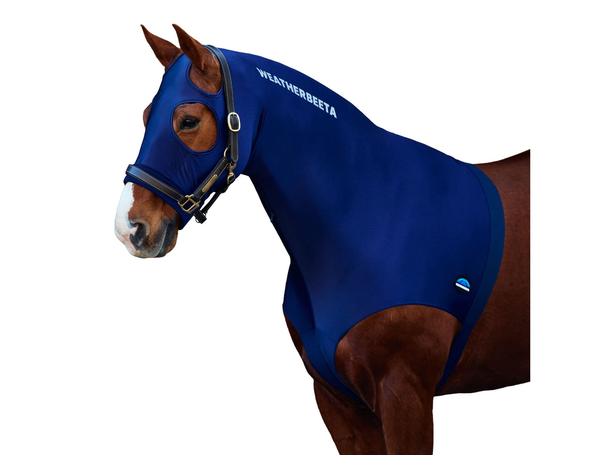 WeatherBeeta Stretch Hood With Zip in Navy