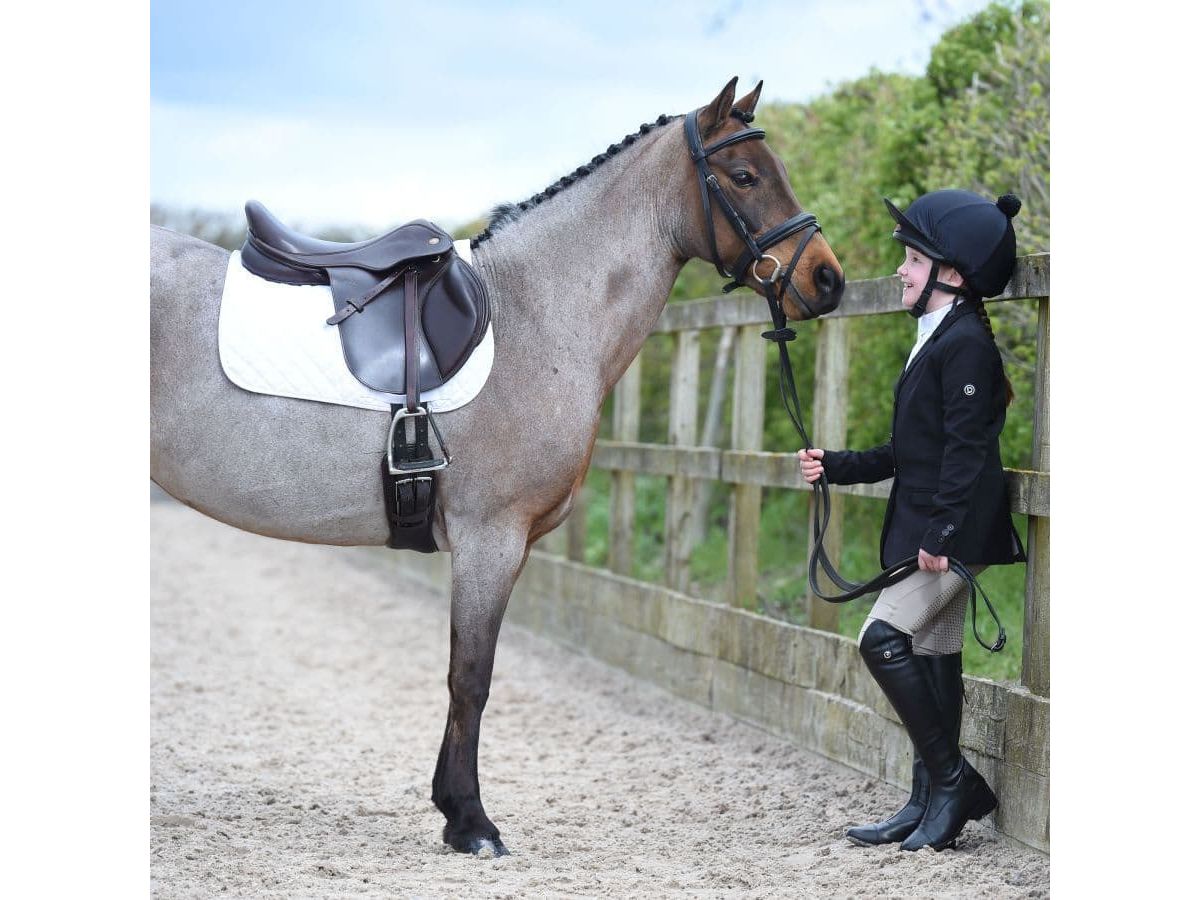 Dublin Casey Tailored Ladies Jacket