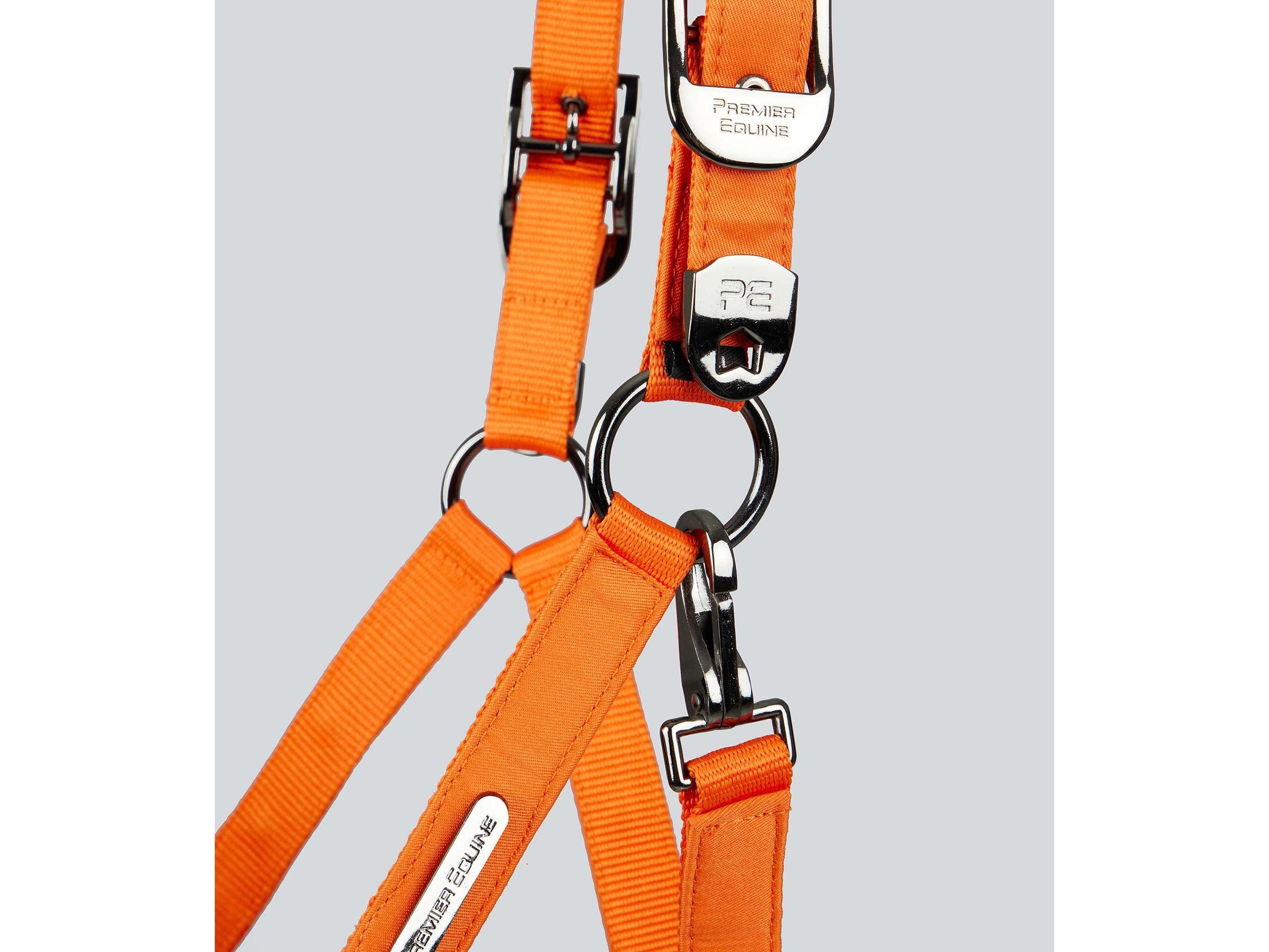Duco Padded Head Collar With Lead Rope