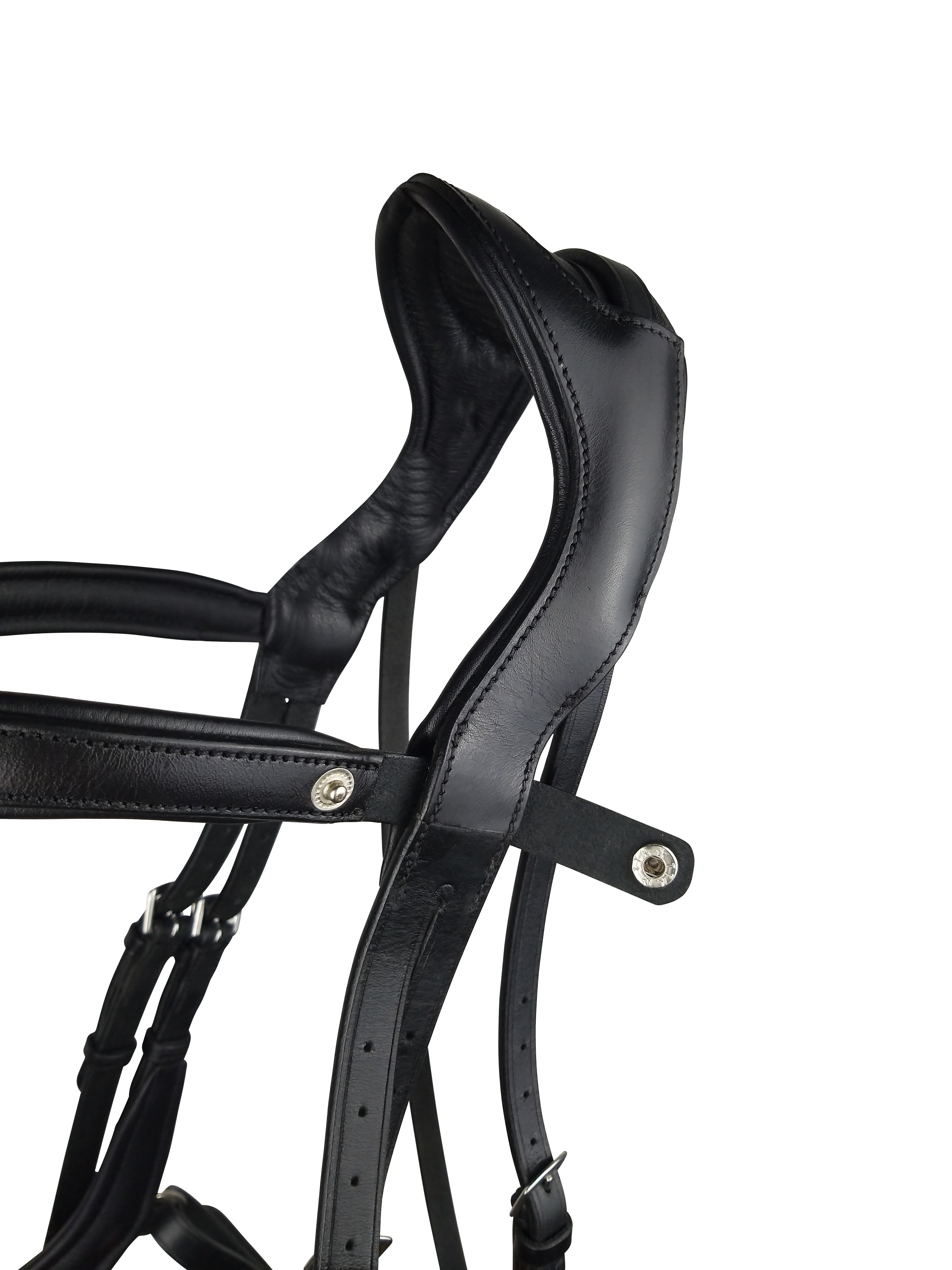 Freedom Comfort Bridle