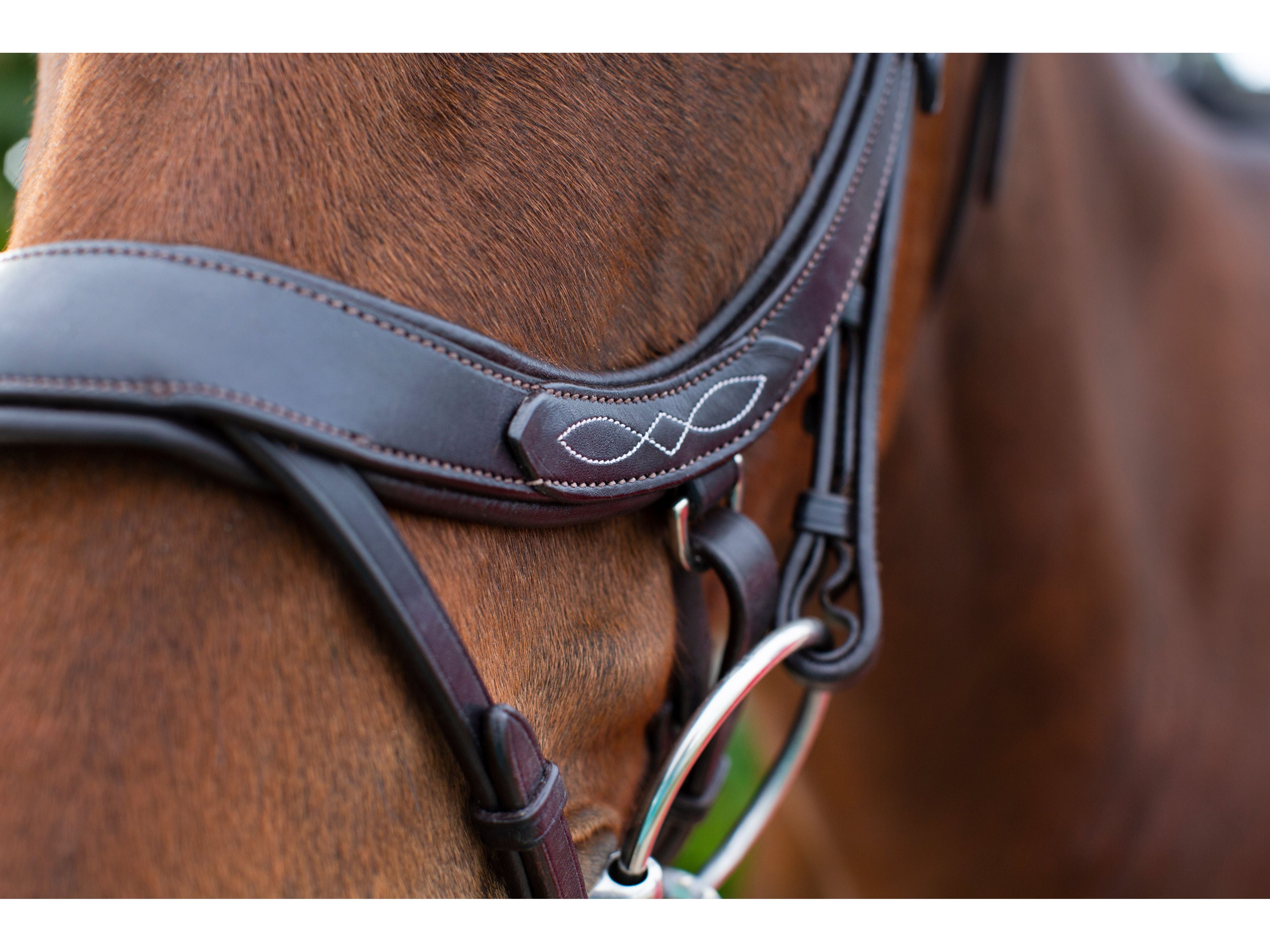 Freedom Comfort Bridle view
