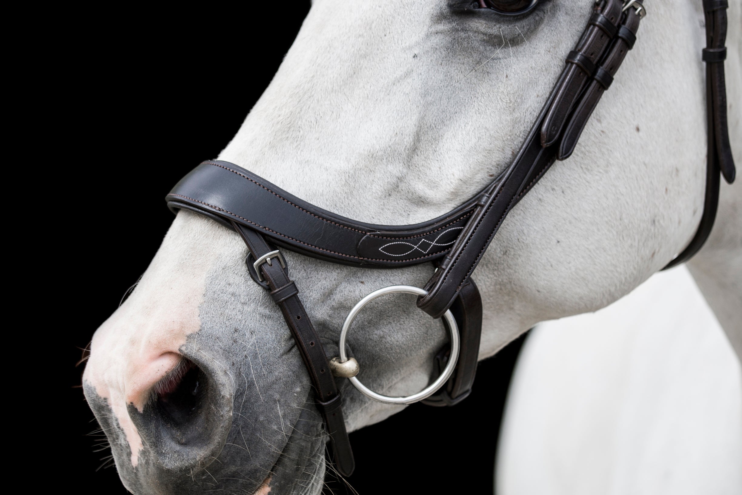 Freedom Comfort Bridle
