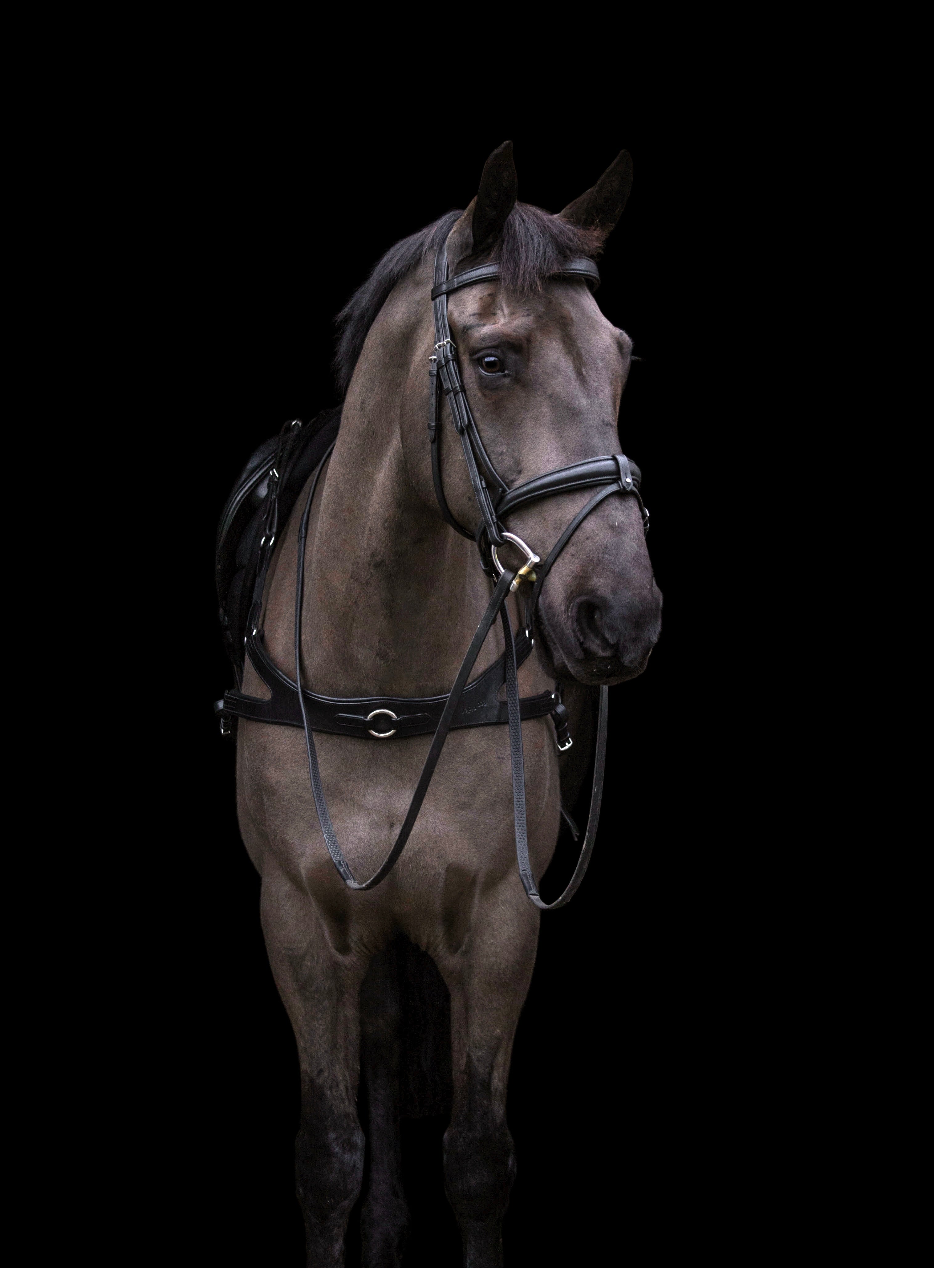 Freedom Breastplate