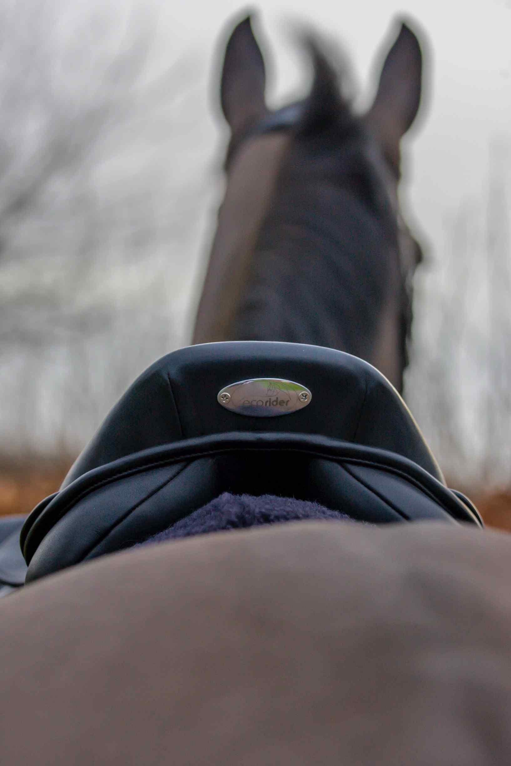 Freedom Jump Saddle