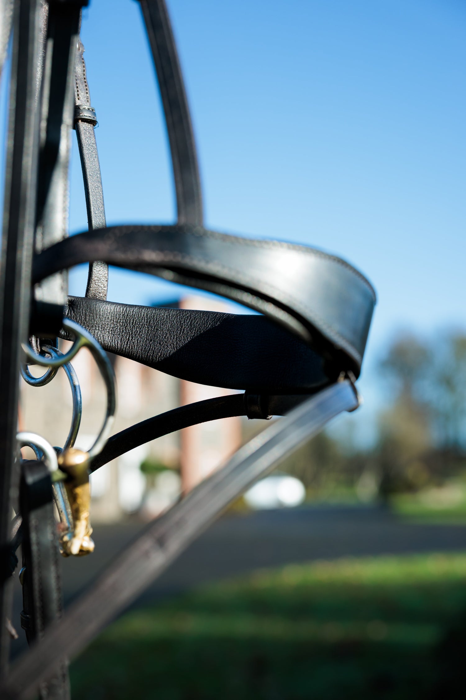 SeamFree Show Bridle