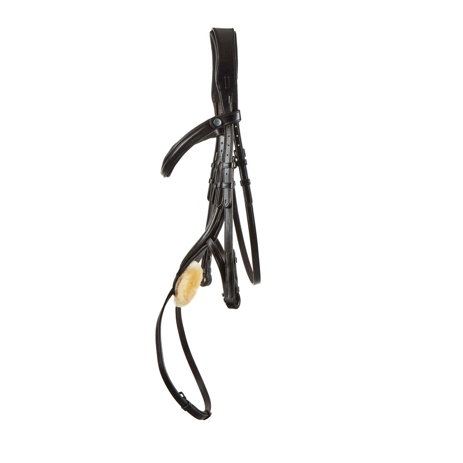 SeamFree Grackle Bridle