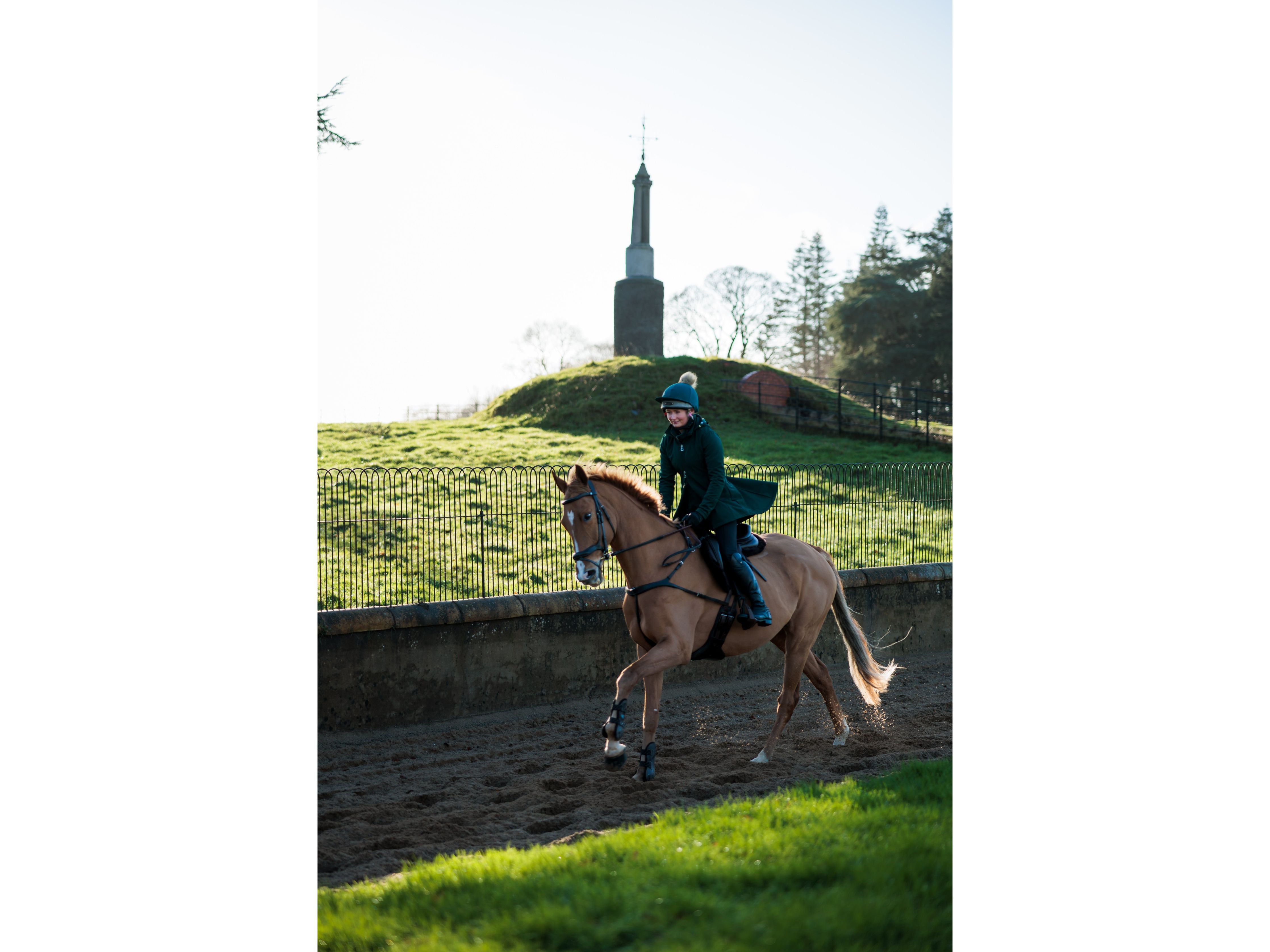 SeamFree Anatomic Bridle view