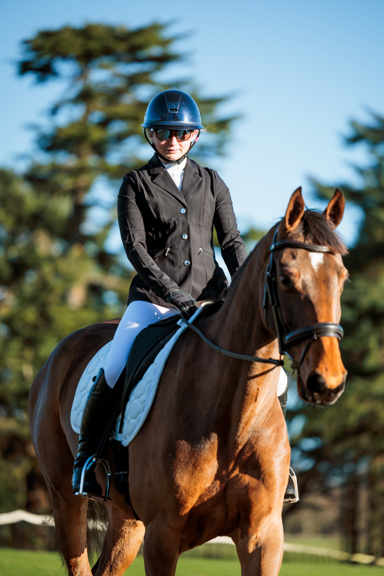 SeamFree Comfort Bridle