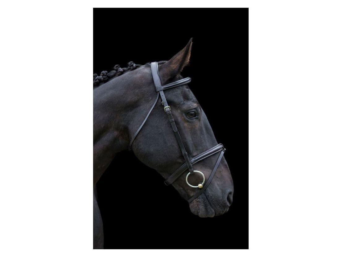 EcoRider Classic Comfort Bridle