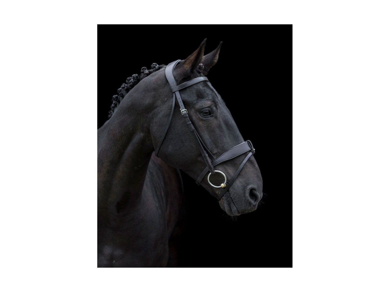 EcoRider Classic Show Comfort Bridle