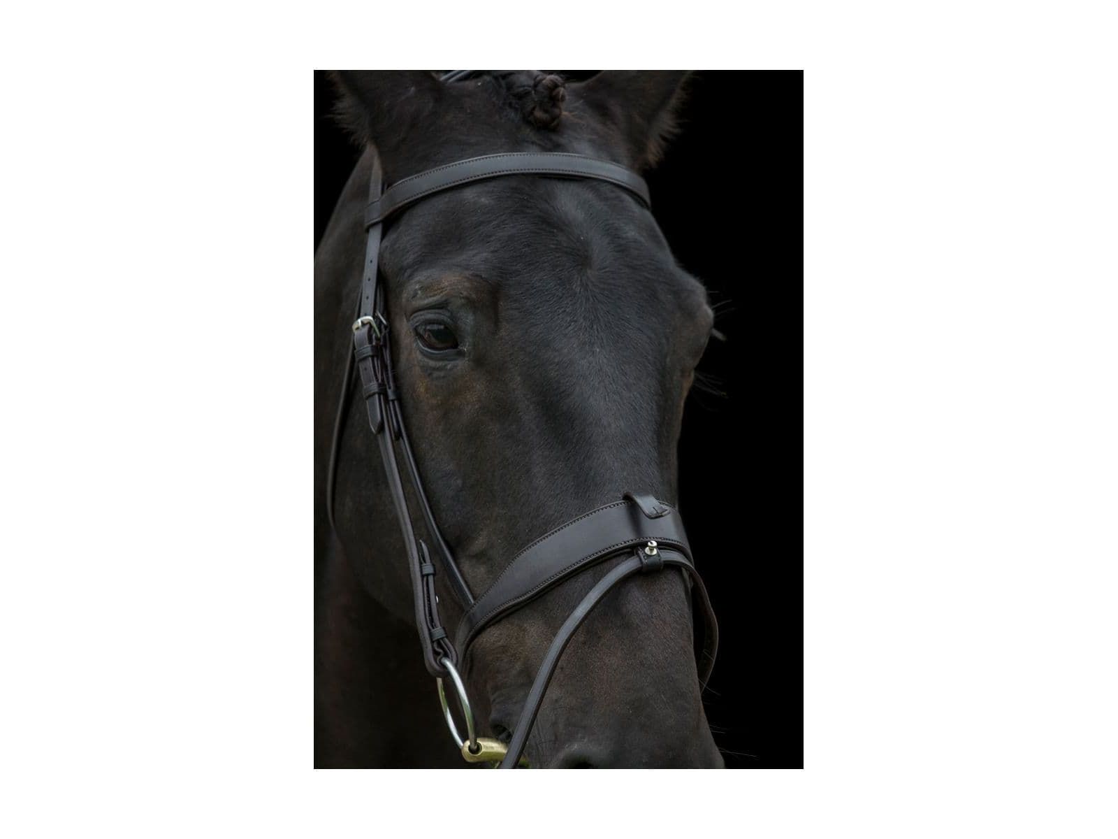 EcoRider Classic Show Comfort Bridle