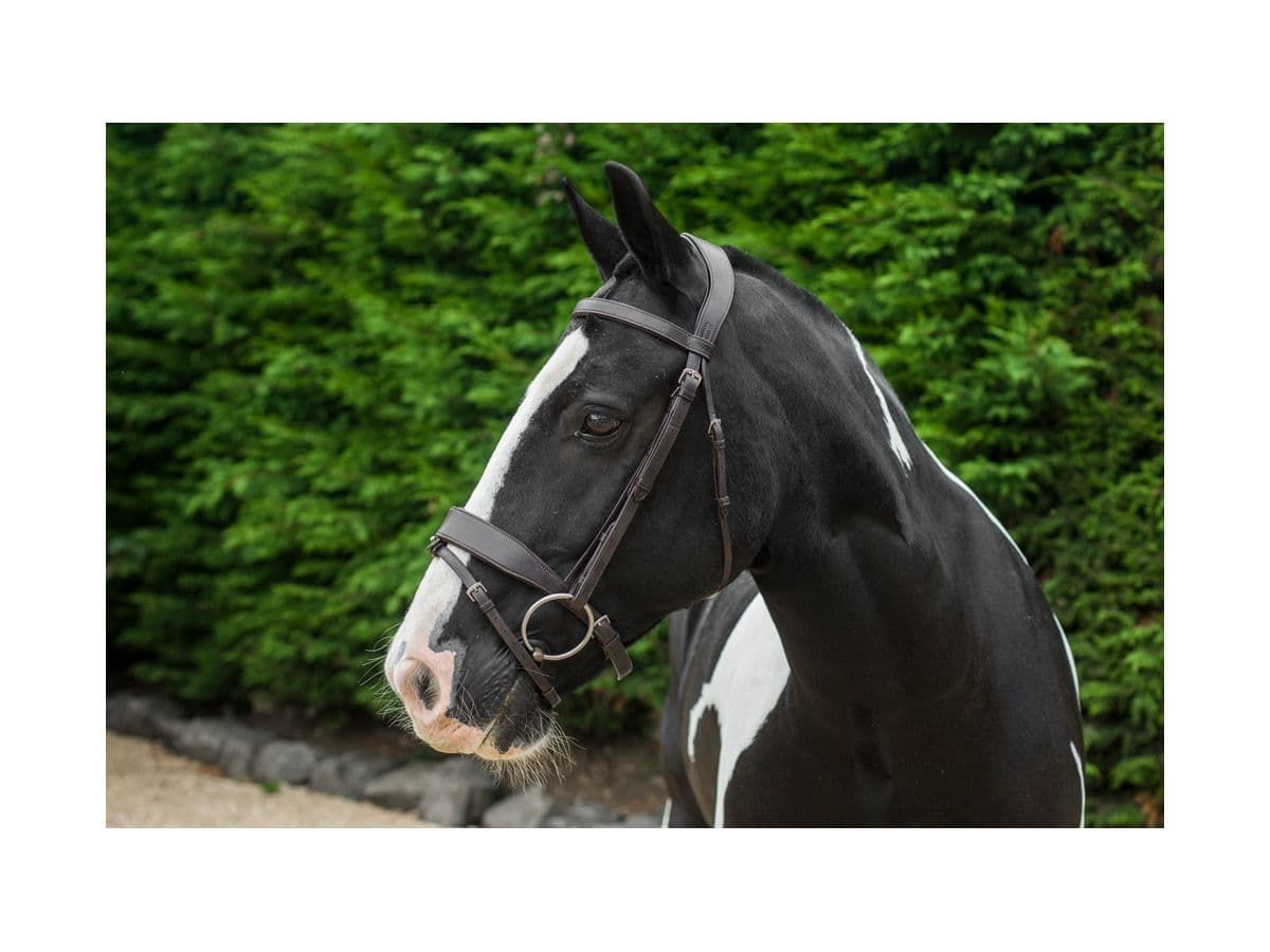 EcoRider Classic Show Bridle Full Black RRP £69.00
