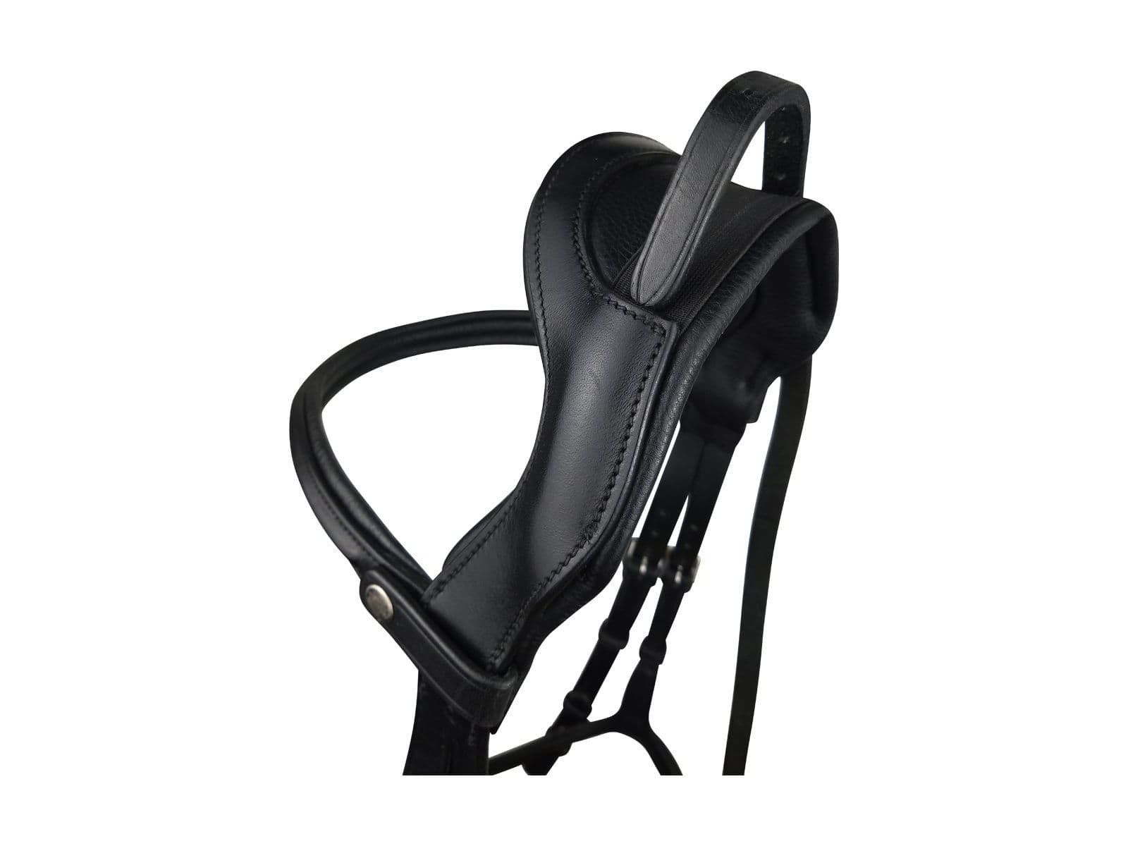 EcoRider Freedom Grackle Bridle