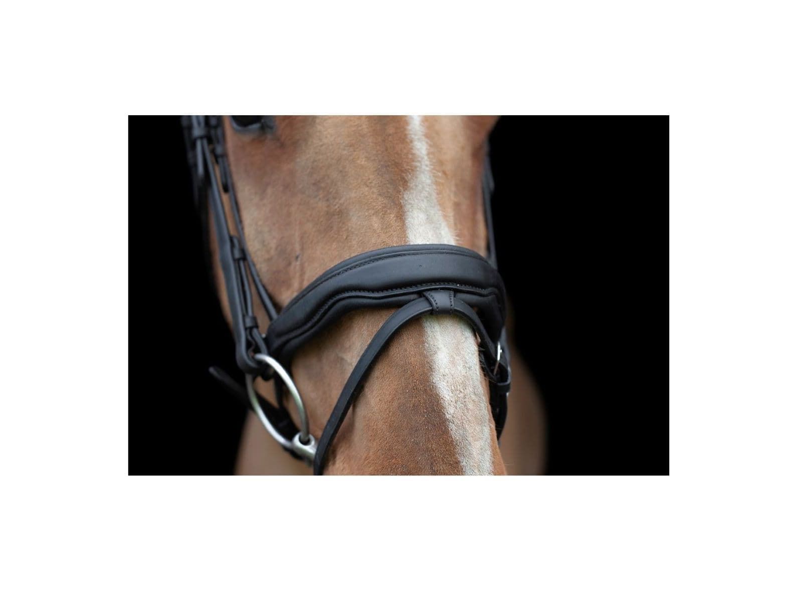 EcoRider Ultra Comfort Navan Bridle