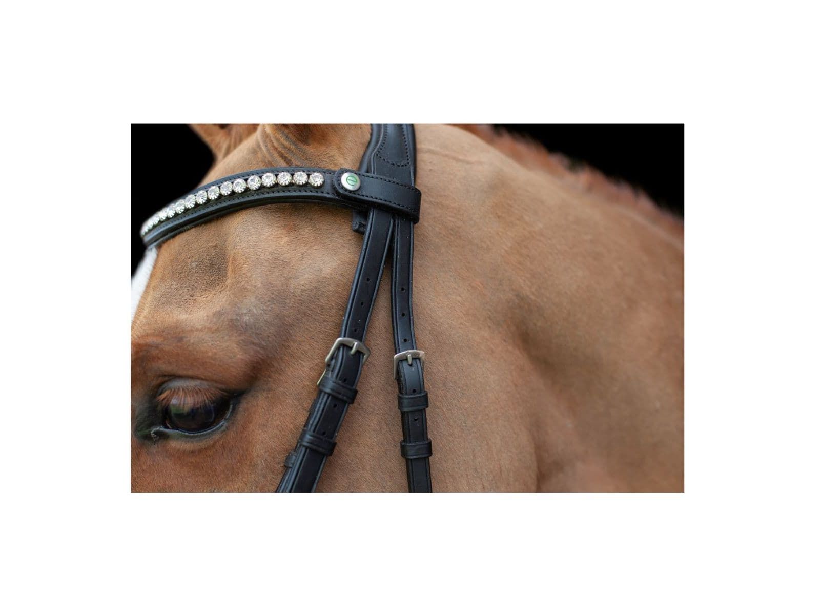 EcoRider Ultra Comfort Navan Bridle