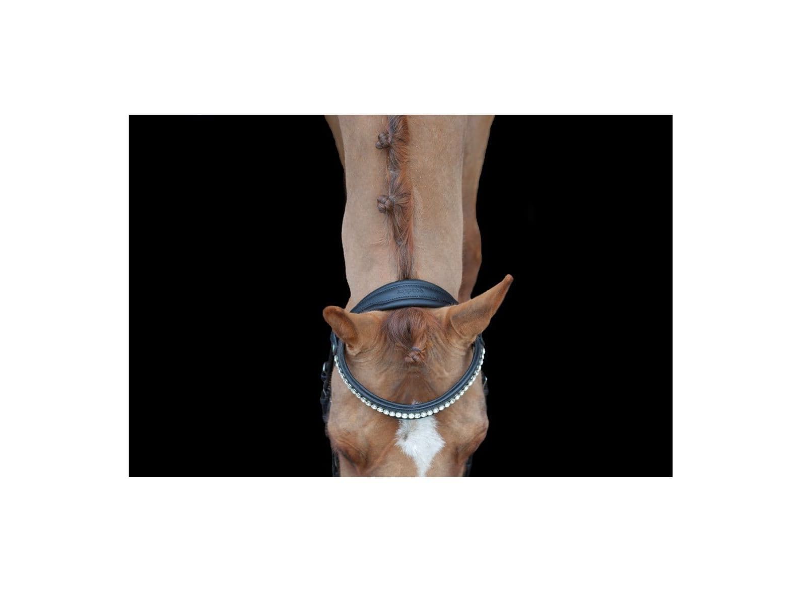 EcoRider Ultra Comfort Navan Bridle