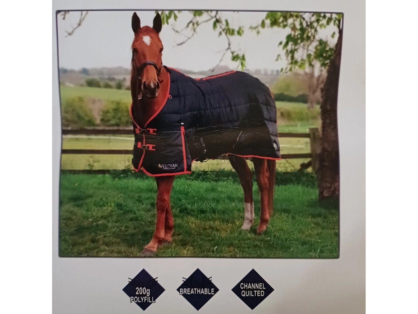 Gallop Trojan 200g Stable Rug 6ft3 RRP £35.00