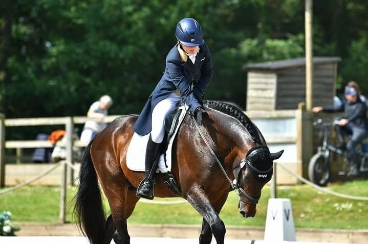 Saddle Masters