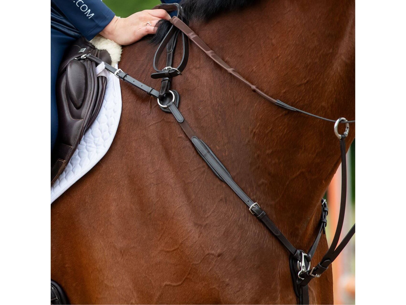 Close-up of a horse's neck and shoulder with a rider's hand holding reins, showing dark leather breastplate and reins attached to the saddle and reins on a brown horse
