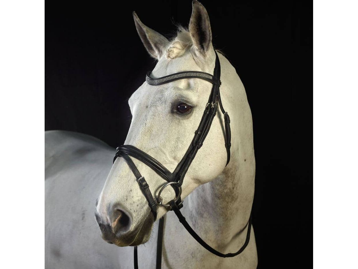 GFS -Monarch  Flash Bridle