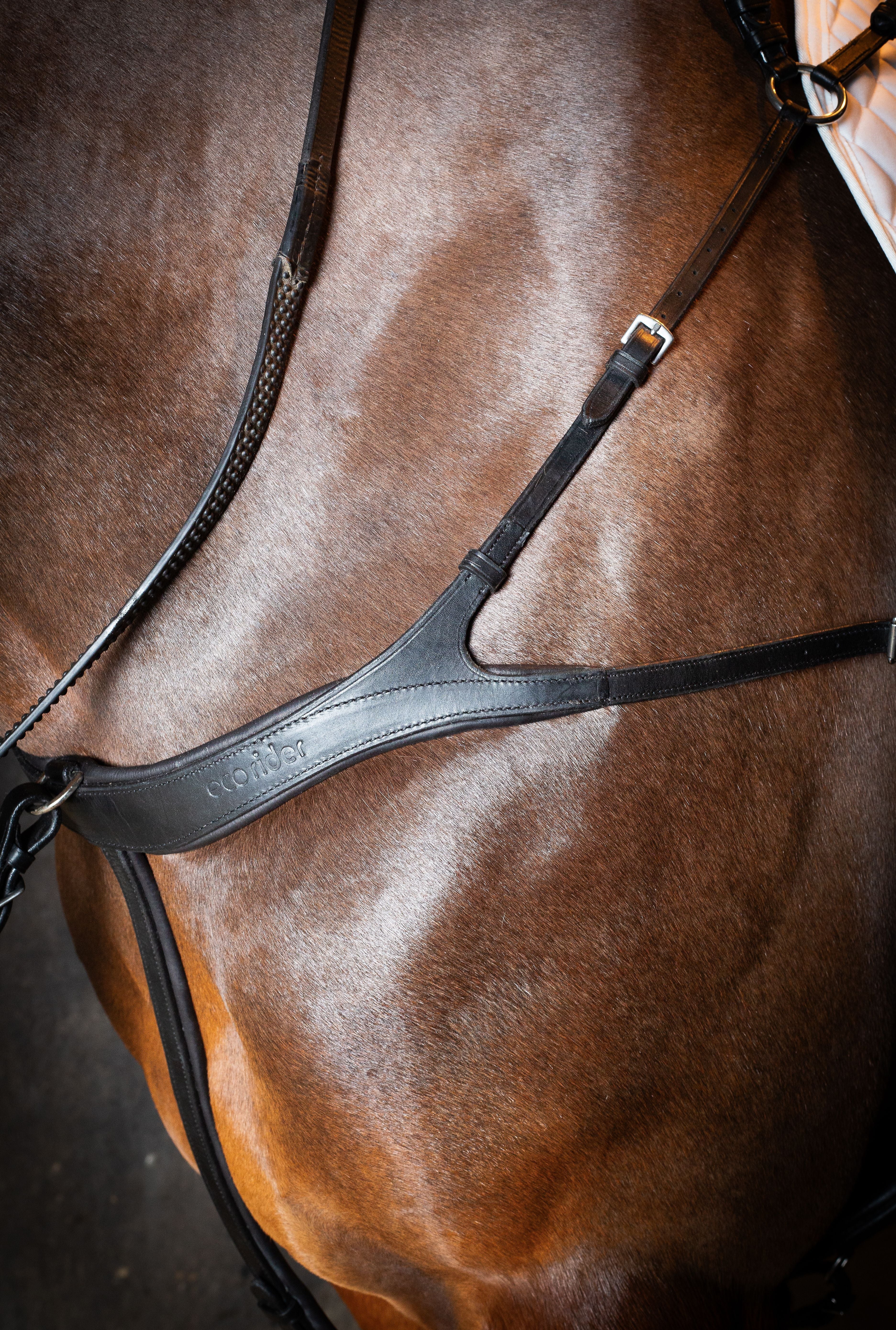 Tara Breastplate