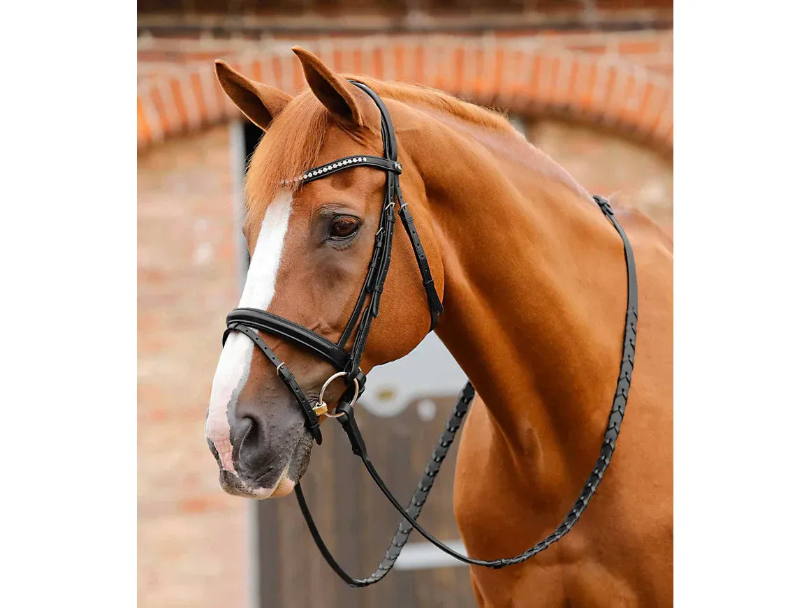 Premier Equine Bellissima Crank Bridle with Diamante Browband Cob Black RRP £112.96