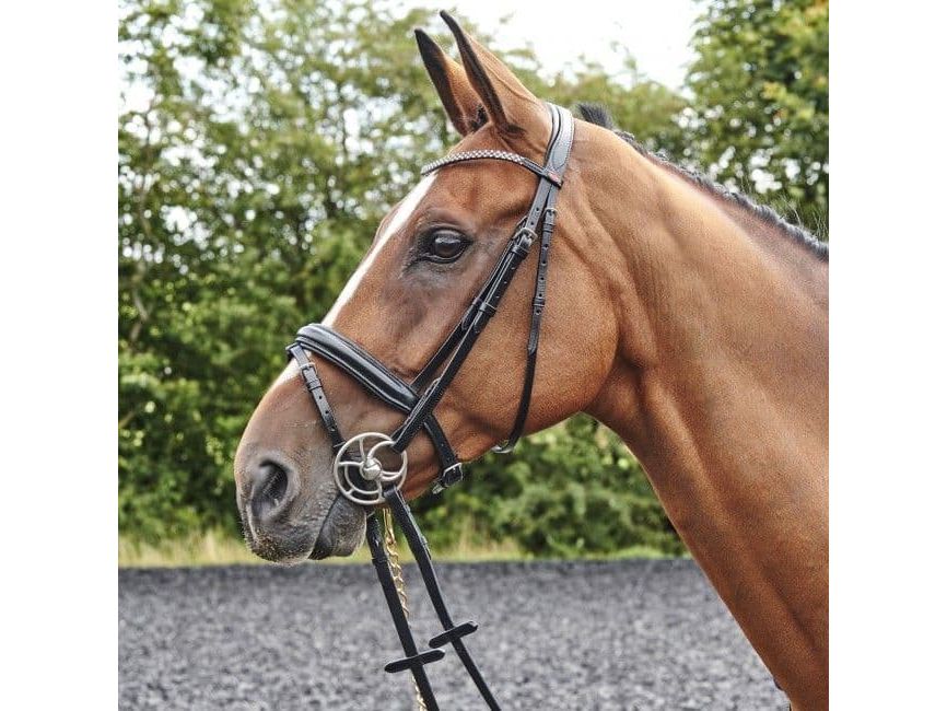 John Whitaker Barton Bling Flash Bridle (inc Rubber Reins)