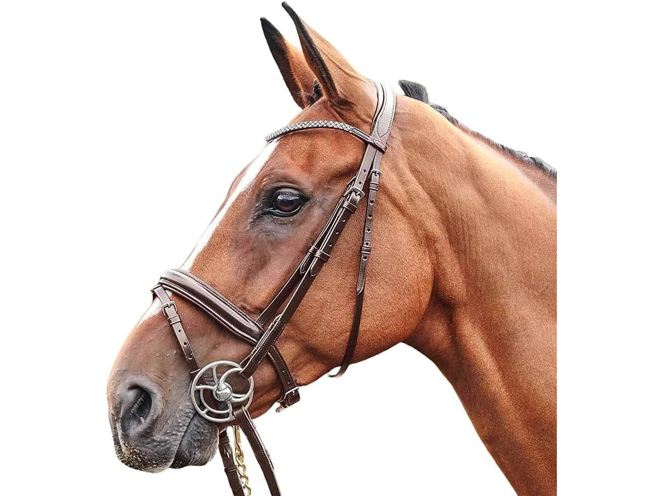 John Whitaker Barton Bling Flash Bridle (inc Rubber Reins)