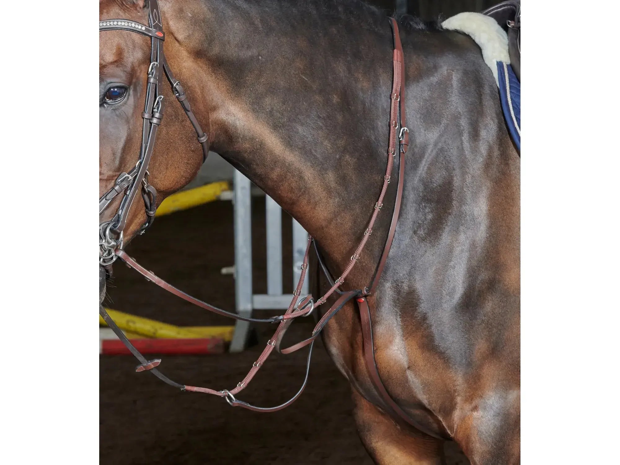 John Whitaker Barton Martingale