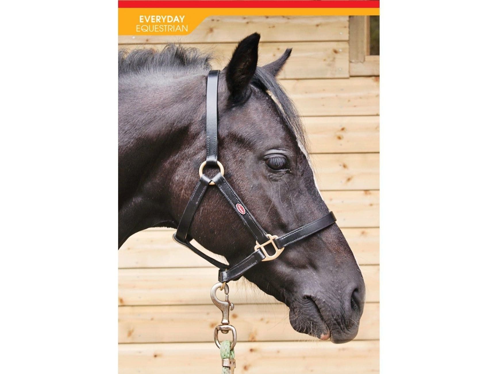 John Whitaker Breeder Headcollar