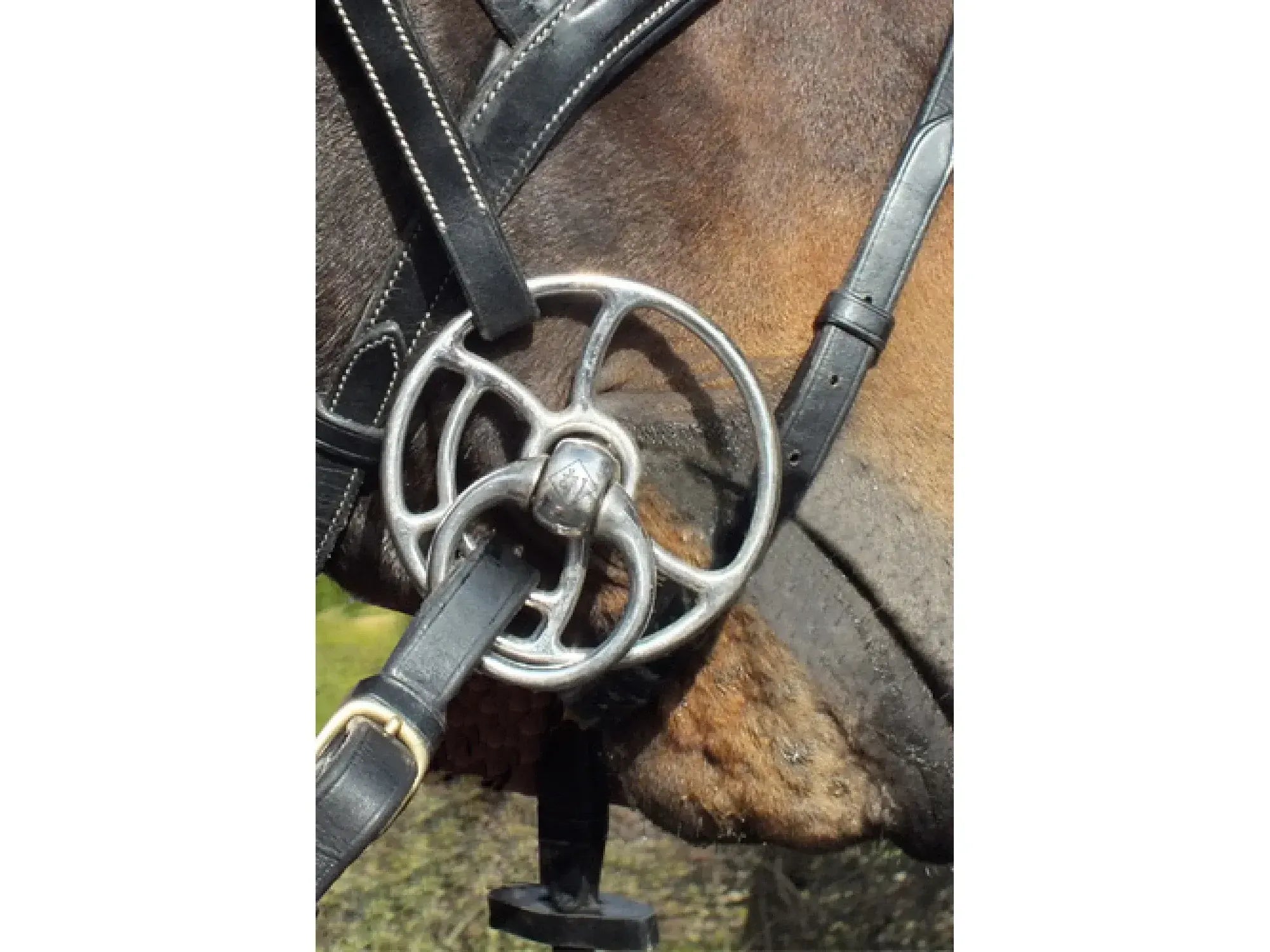 John Whitaker Bullet Universal Bit