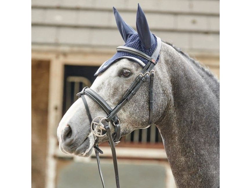 John Whitaker Eastwood Crank Bridle including Reins