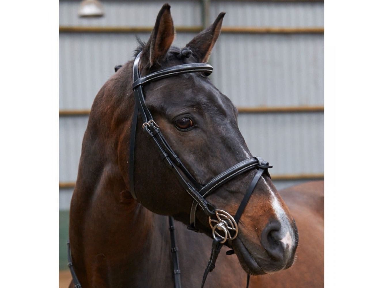 John Whitaker Eastwood Raised Flash Bridle with Reins