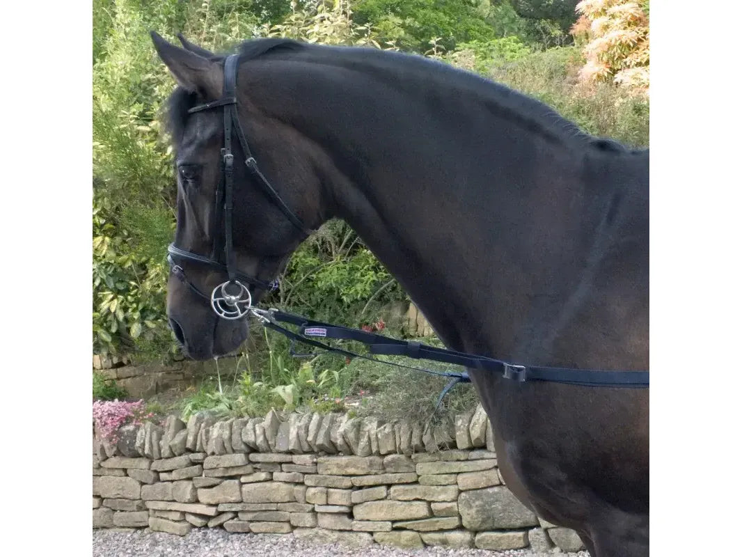 John Whitaker Elasticated Side Rein