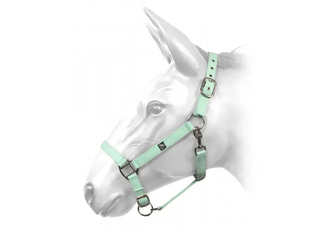 John Whitaker Harvey Headcollar in Mint