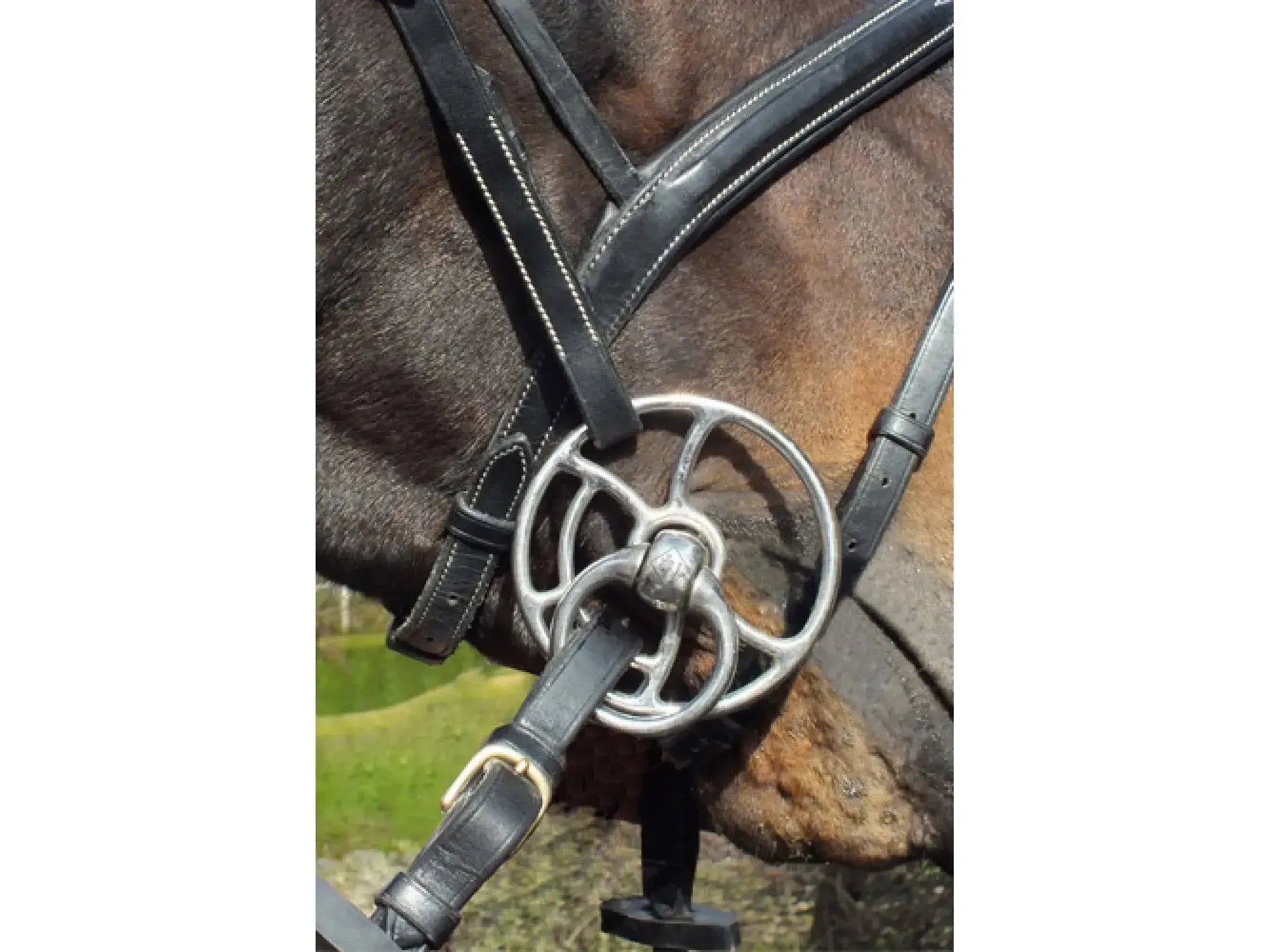 John Whitaker Leather Universal Bit