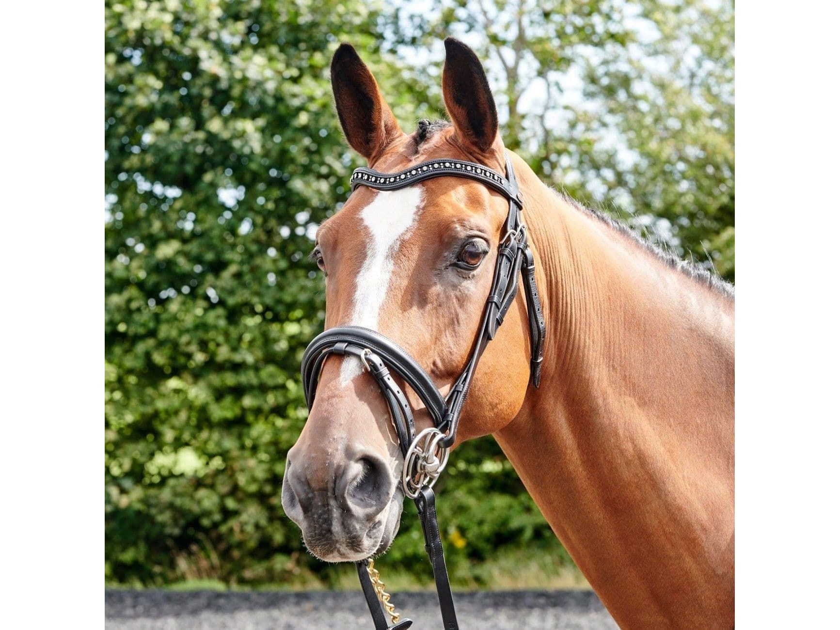 John Whitaker Lynton Flash Bridle with 2 Browbands