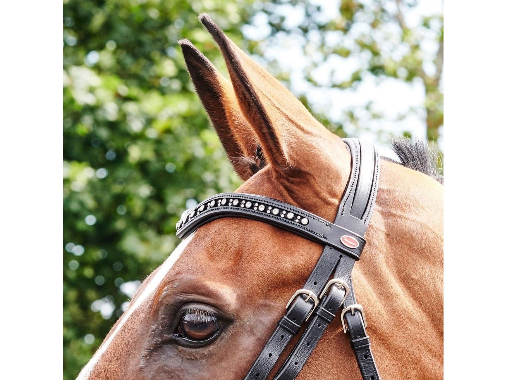 John Whitaker Lynton Flash Bridle with 2 Browbands